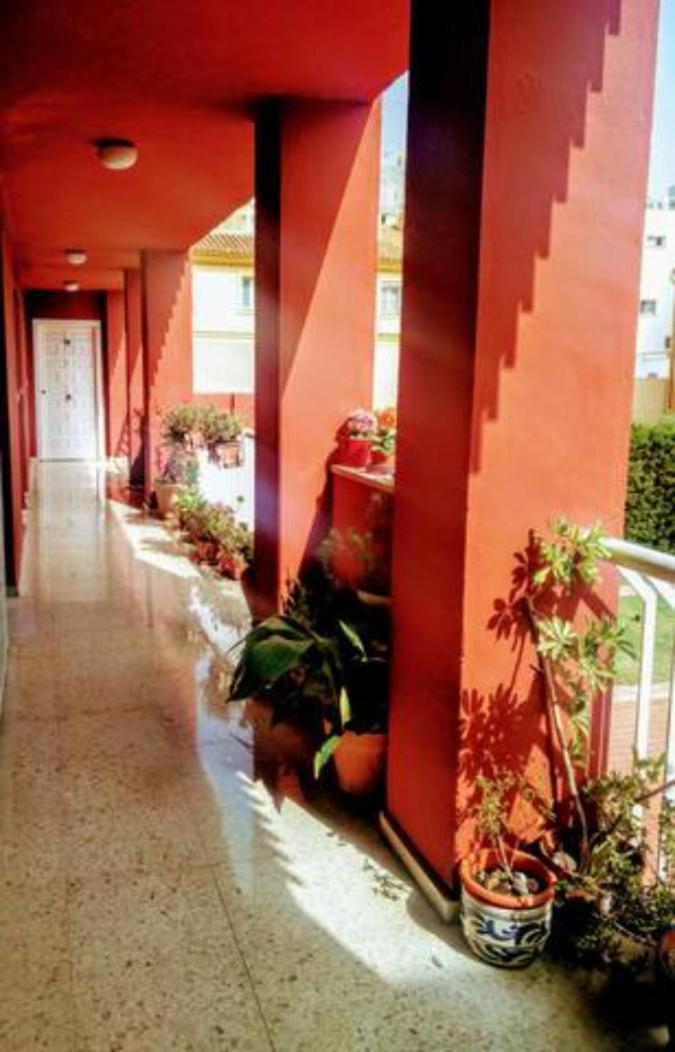 Bolivia Beach Apartments マラガ エクステリア 写真